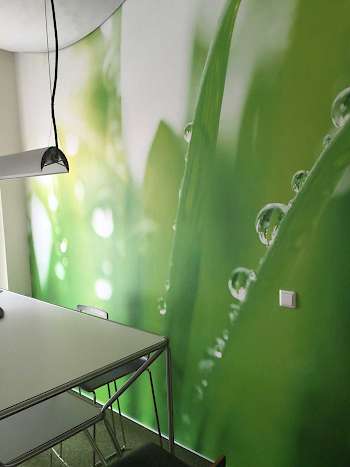 Die Wand als Bild: unser Besprechungsraum 